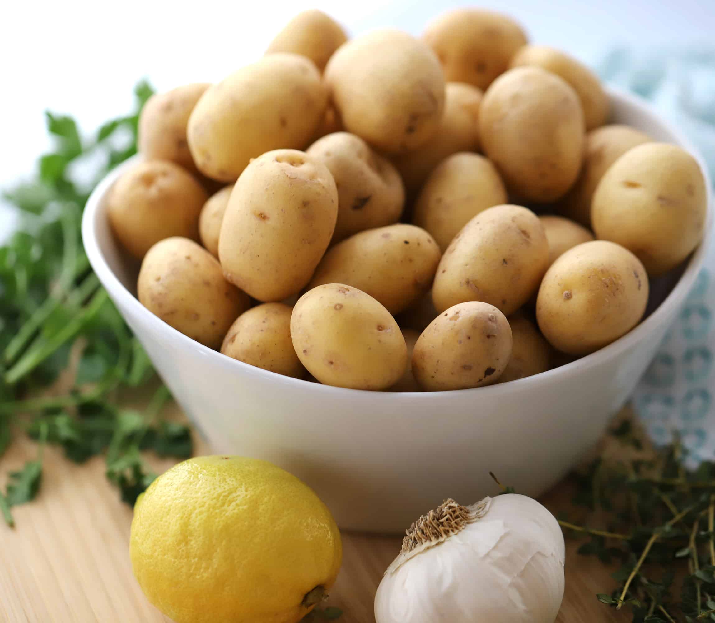 A bowl full of small potatoes surrounded by a lemon, head of garlic and fresh herbs. roasted Yukon gold potatoes, baby gold potatoes, boomer gold potatoes recipe. 