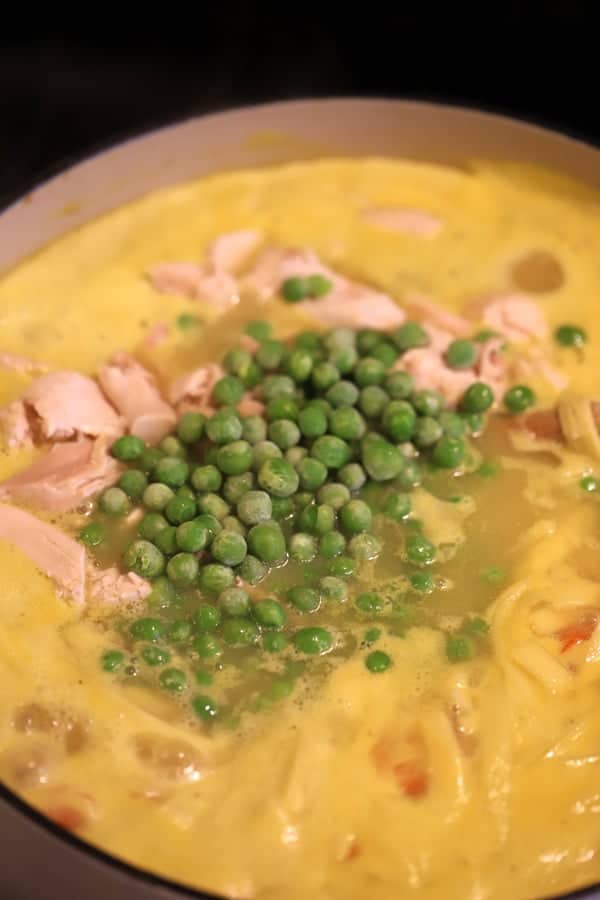 Amazingly delicious and easy 30 minute Chicken Noodle Soup Recipe. 