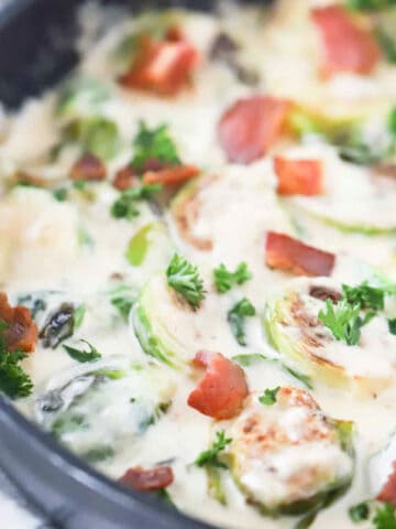 creamy alfredo brussels sprouts with bacon