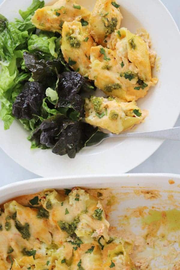 chicken stuffed pasta shells with homemade alfredo on a plate with salad, best stuffed shells recipe.