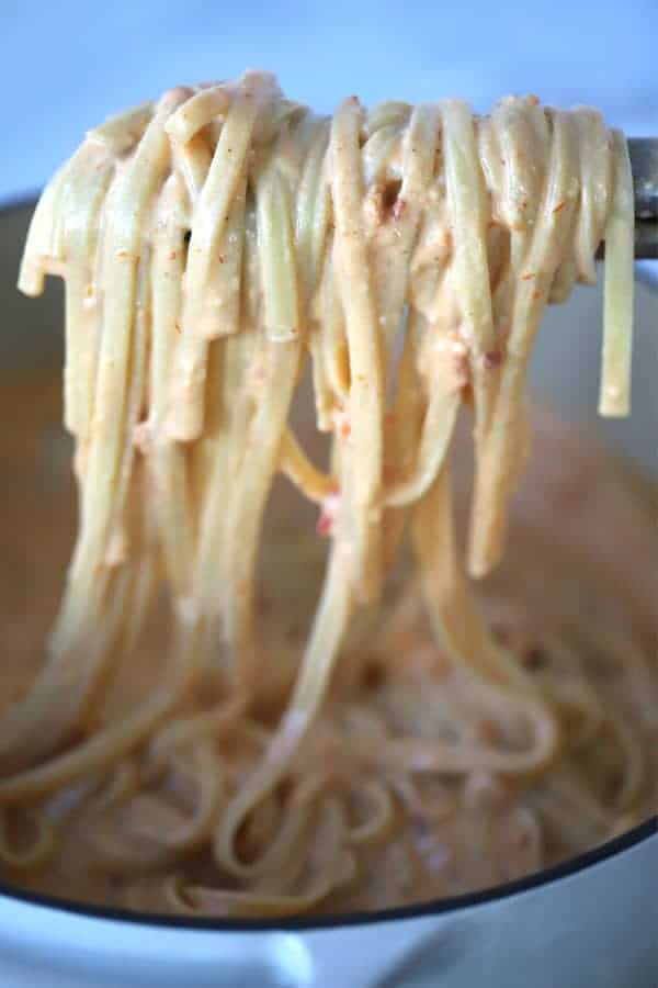 tomato alfredo sauce with fettuccini noodles