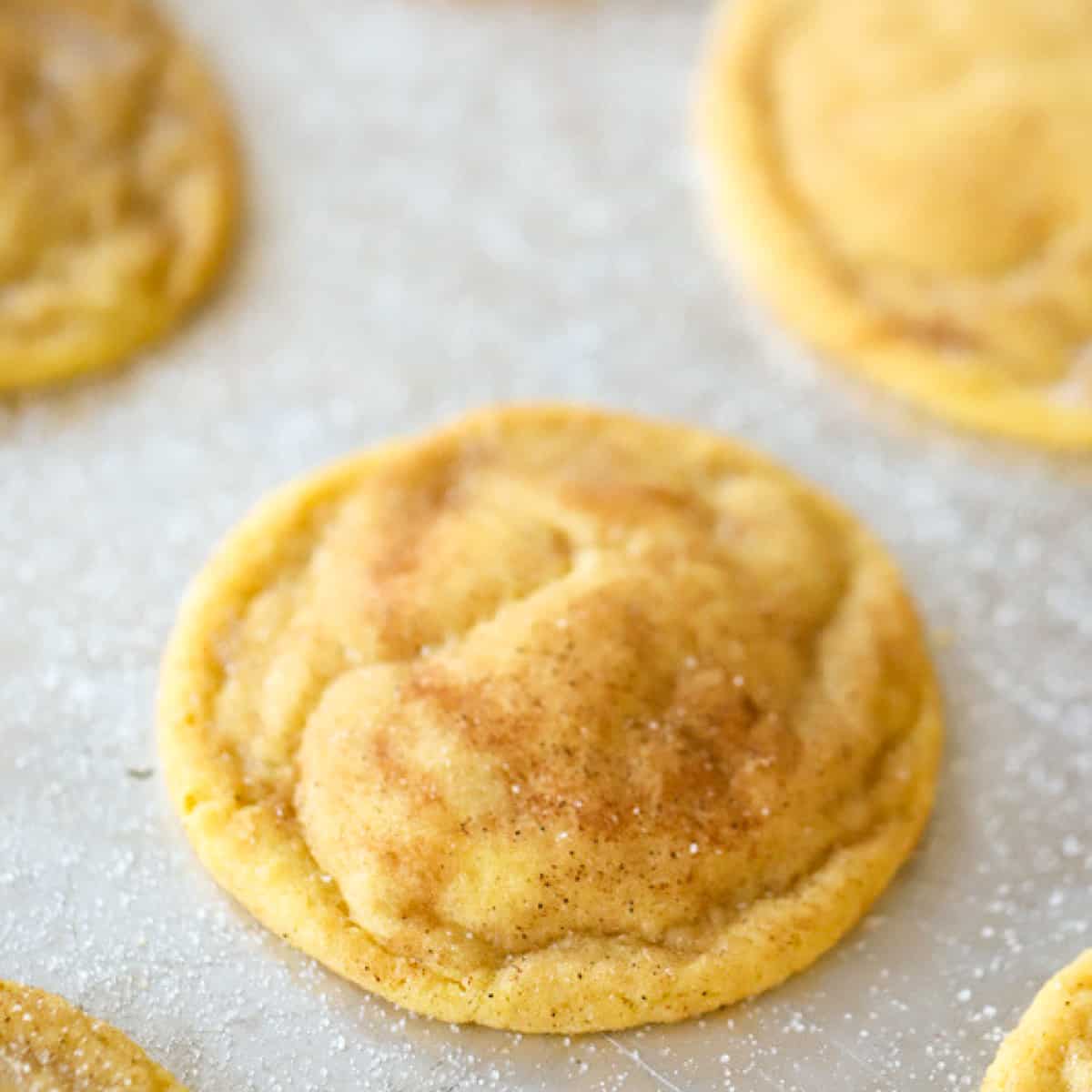 Soft and chewy einkorn Snickerdoodles.