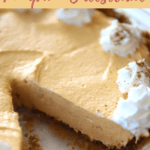 no bake cheesecake, pumpkin flavored with a gingersnap pie crust