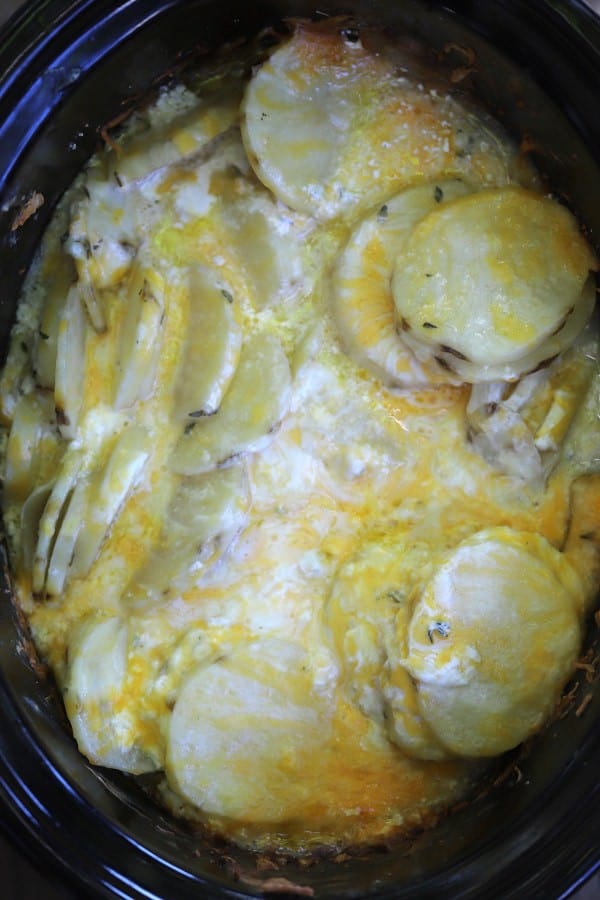 Scalloped potatoes in a crock pot cooking with sour cream and cheese.