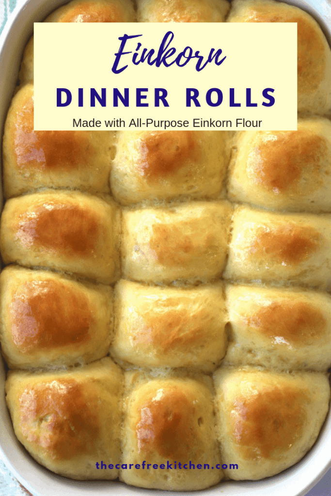 Einkorn Dinner Rolls - The Carefree Kitchen