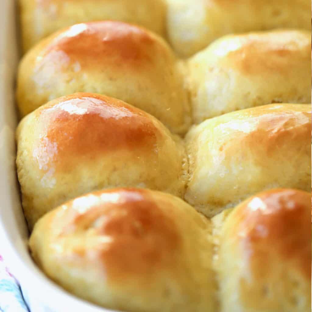 Homemade dinner rolls in a baking dish.