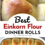 easy einkorn dinner rolls recipe