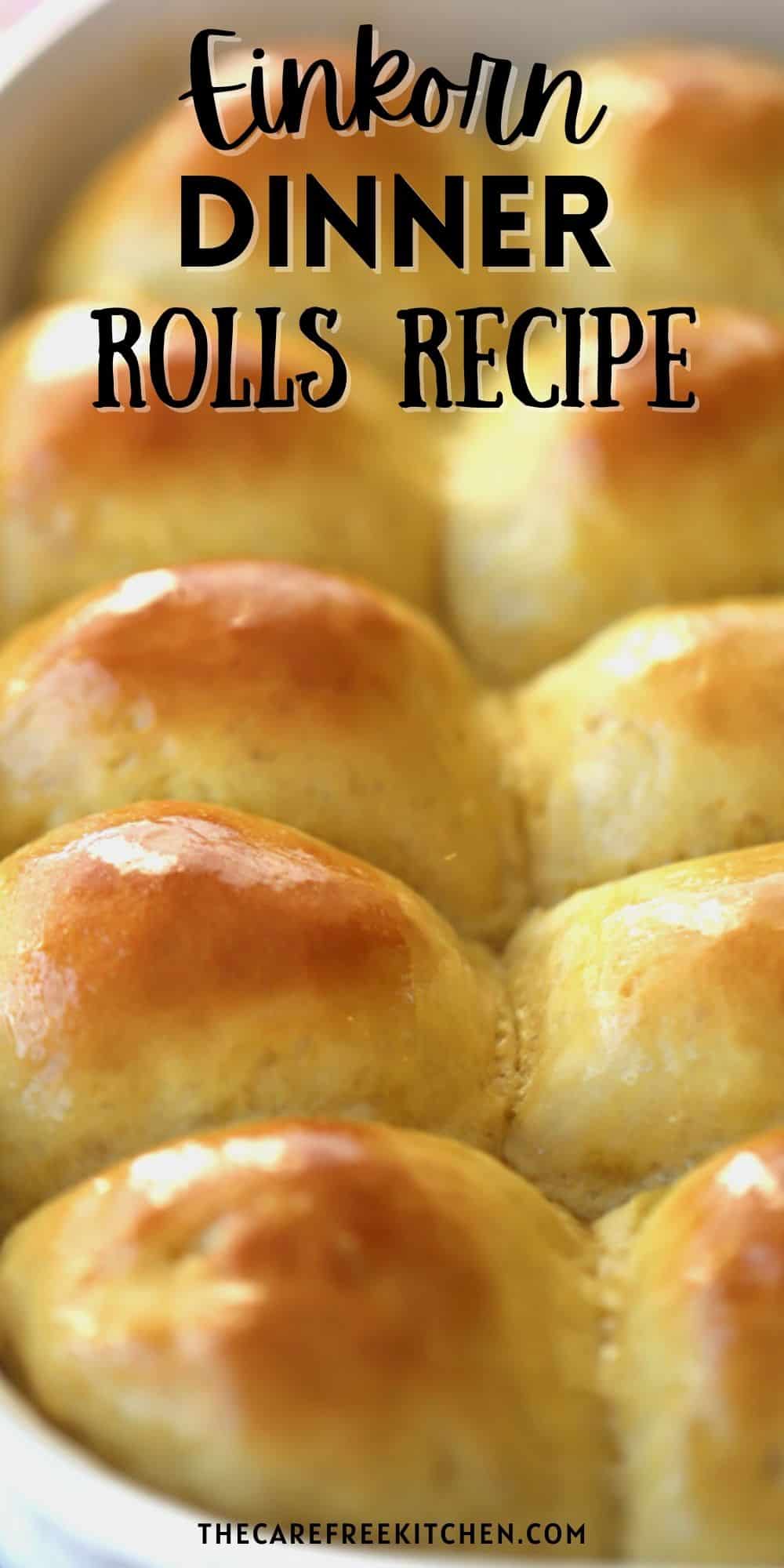 Einkorn Dinner Rolls - The Carefree Kitchen