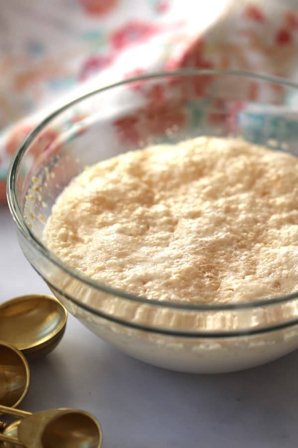proofing the yeast for einkorn dinner rolls