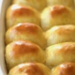 Homemade einkorn dinner rolls