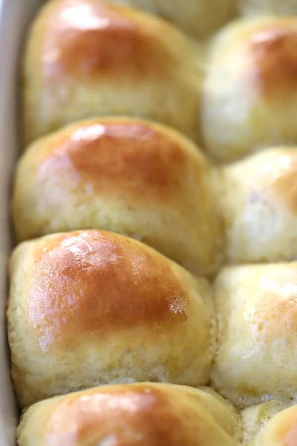 einkorn dinner roll recipe made with all-purpose einkorn flour, Einkorn bread recipe. 