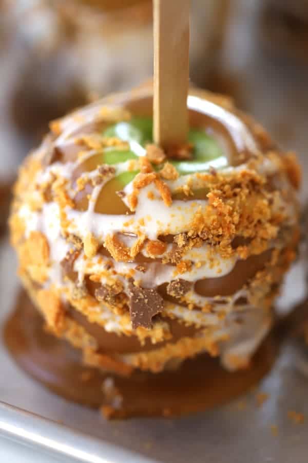 Gourmet caramel apples with chocolate and candy drizzle