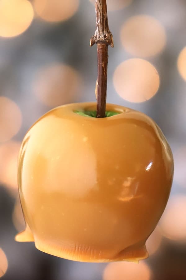 Homemade Caramel Apple with twinkle lights in the background, best caramel apple recipe