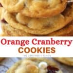 orange cranberry cookies white chocolate, holiday cookie