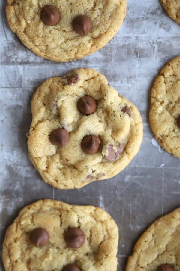 Soft and chewy chocolate chip cookies on a baking sheet.