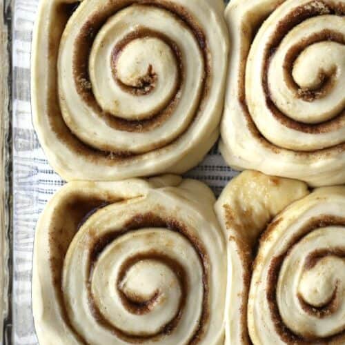 cinnamon rolls rising in a baking dish