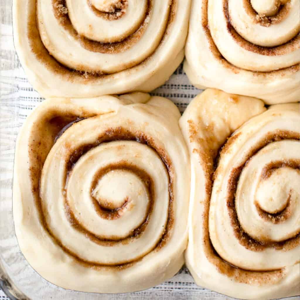 cinnamon rolls rising in a baking dish,.