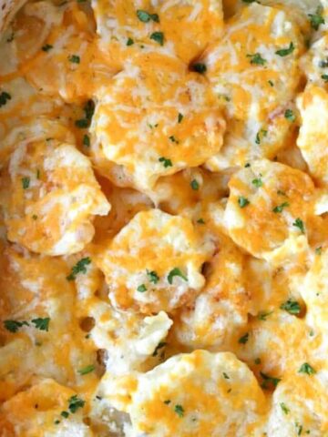 homemade scalloped potatoes in a white baking dish, creamy scalloped potatoes.