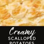 creamy scalloped potatoes recipe