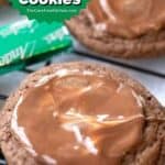 andes chocolate mint cookie recipe