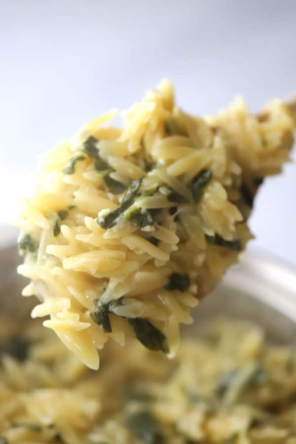 spinach parmesean orzo on a spoon, orzo parmesan garlic recipe. 