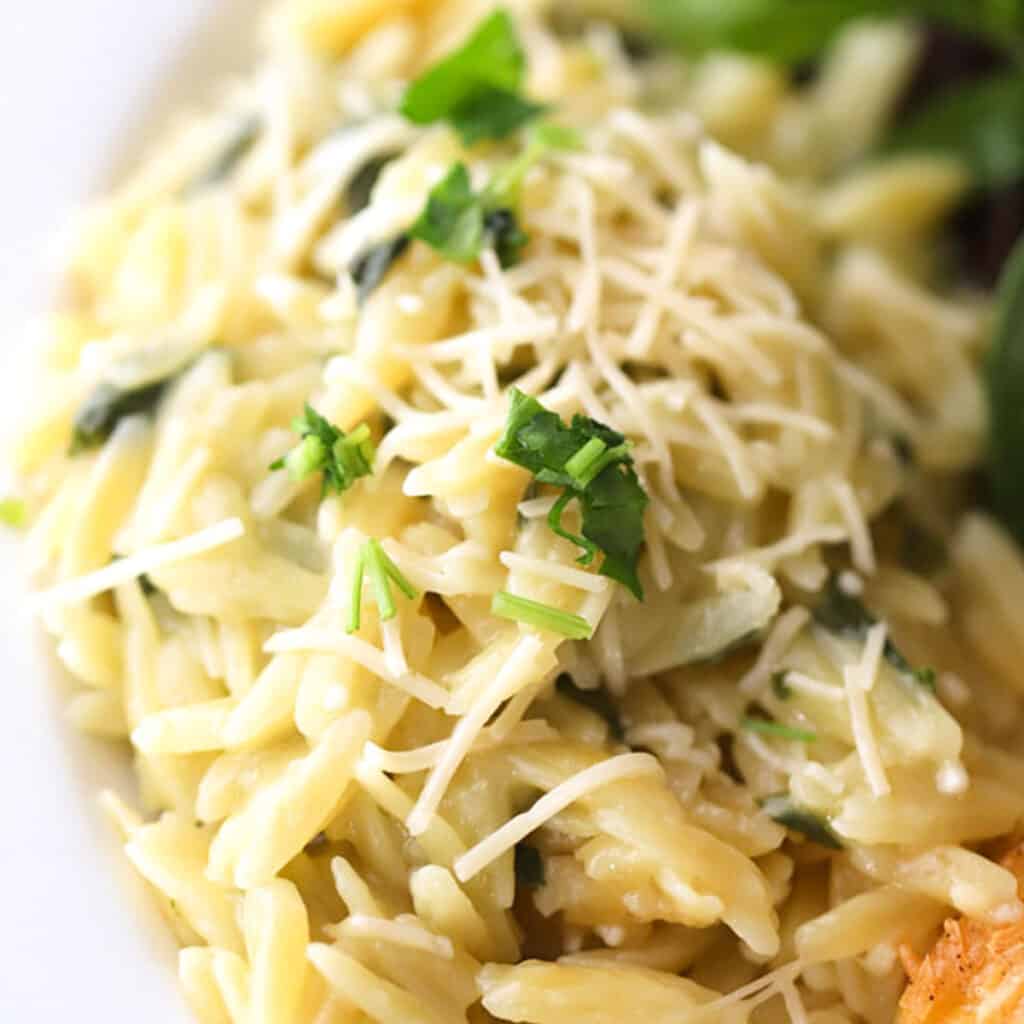 A white bowl full of orzo topped with cheese.