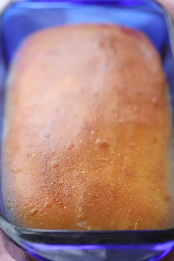 all purpose flour einkorn recipe, the perfect golden brown einkorn bread recipe in a loaf pan. 