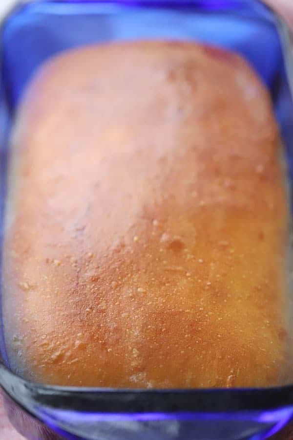 Einkorn White Bread - The Carefree Kitchen