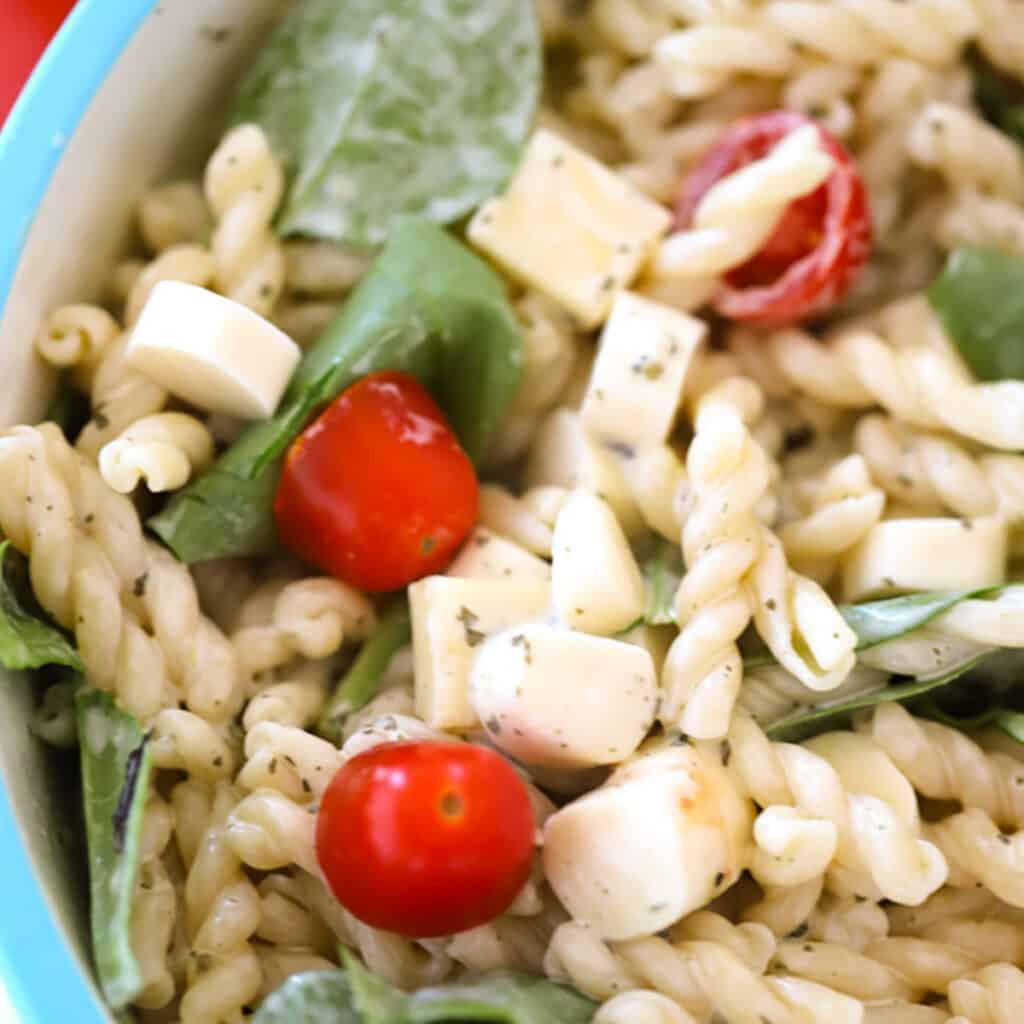 Pasta salad with ranch dressing, tomatoes, cheese, and basil.