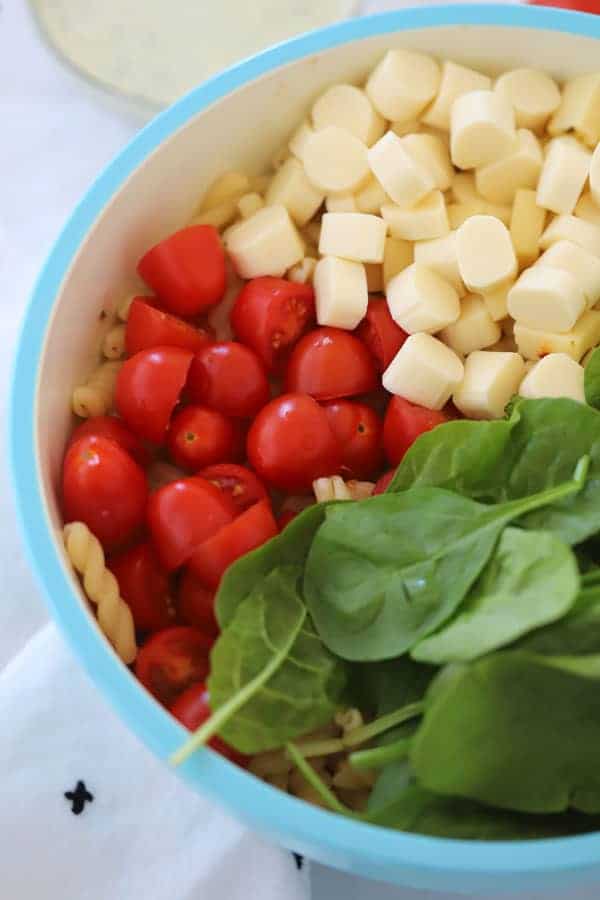 Ingredients to make this Pesto Pasta Salad Recipe in a decorative bowl; ranch pasta salad; cold pesto pasta salad.