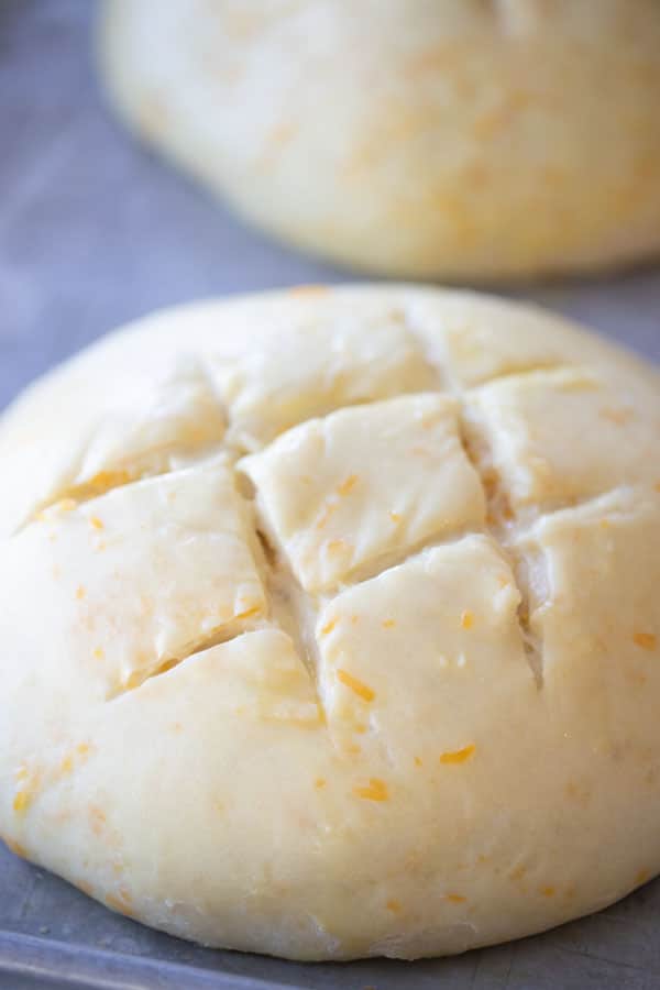 cheddar bread bread dough with score marks