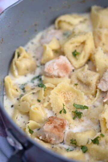 Creamy Garlic Tortellini Alfredo (One Pot) - The Carefree Kitchen