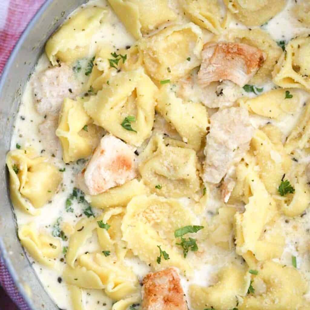 Creamy Garlic Chicken Alfredo Tortellini in a skillet. Valentines day dinner. valentine dinner ideas, valentines dinner recipes.