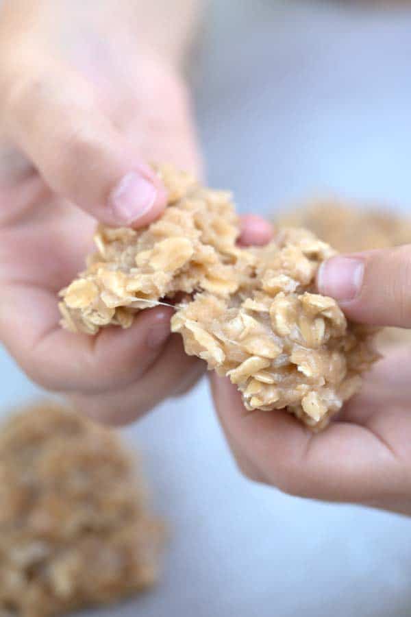 A hand breaking apart a Coconut Peanut Butter no-bake cookie. easy no bake cookies. easy no bake cookies. 