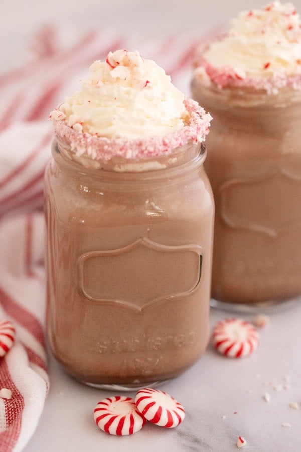 homemade hot chocolate in a mug