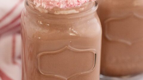 Slow Cooker Hot Chocolate - Host The Toast