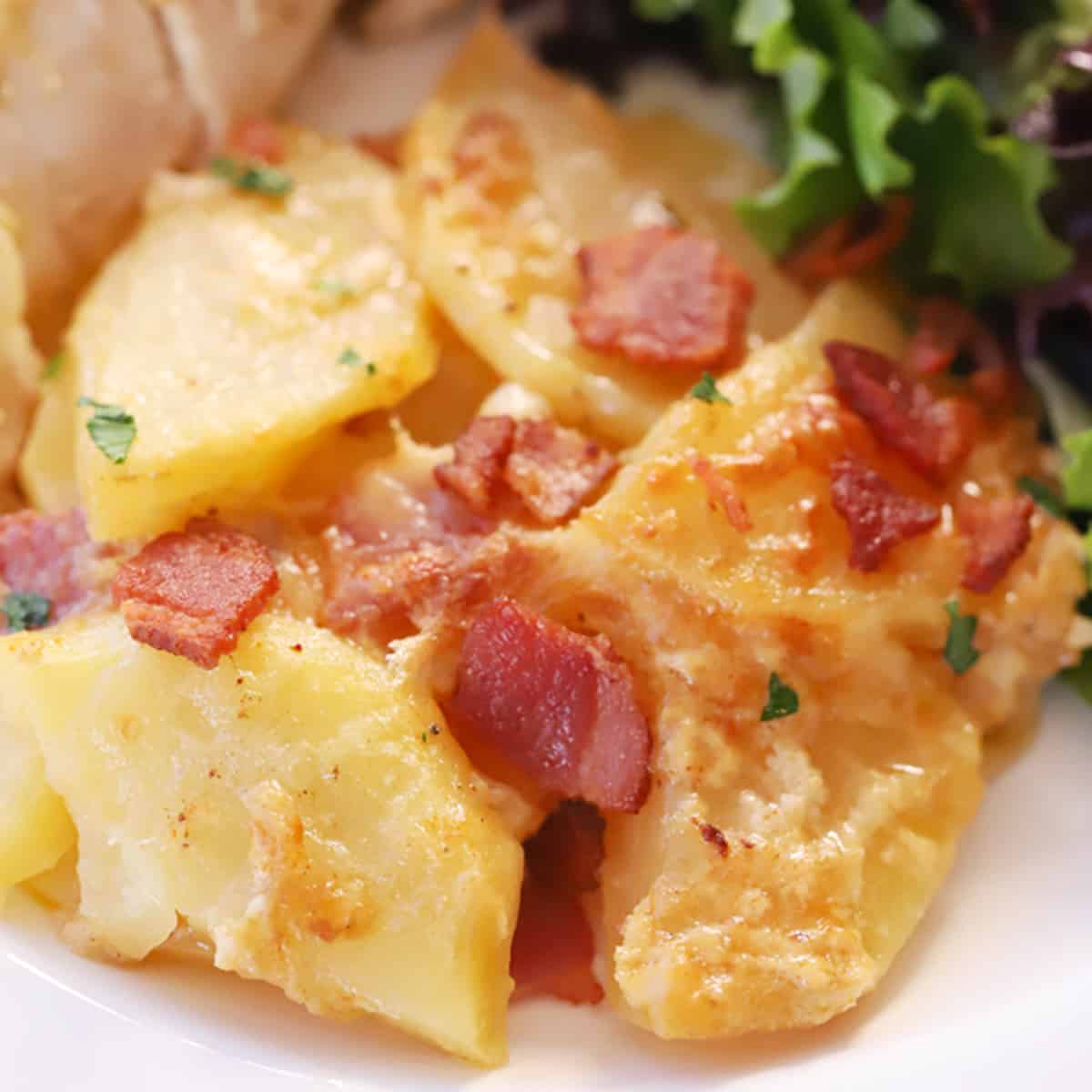scalloped potatoes with bacon recipe, potatoes with bacon and cheese.