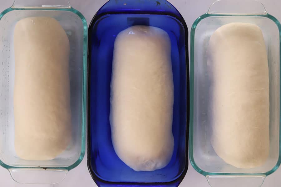 white bread dough in baking loaf pans, tips or making making homemade bread