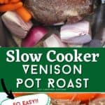 deer roast recipe crock pot