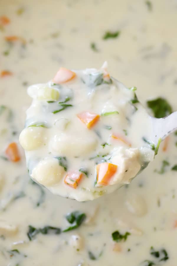 A spoonful of Chicken Gnocchi Soup.