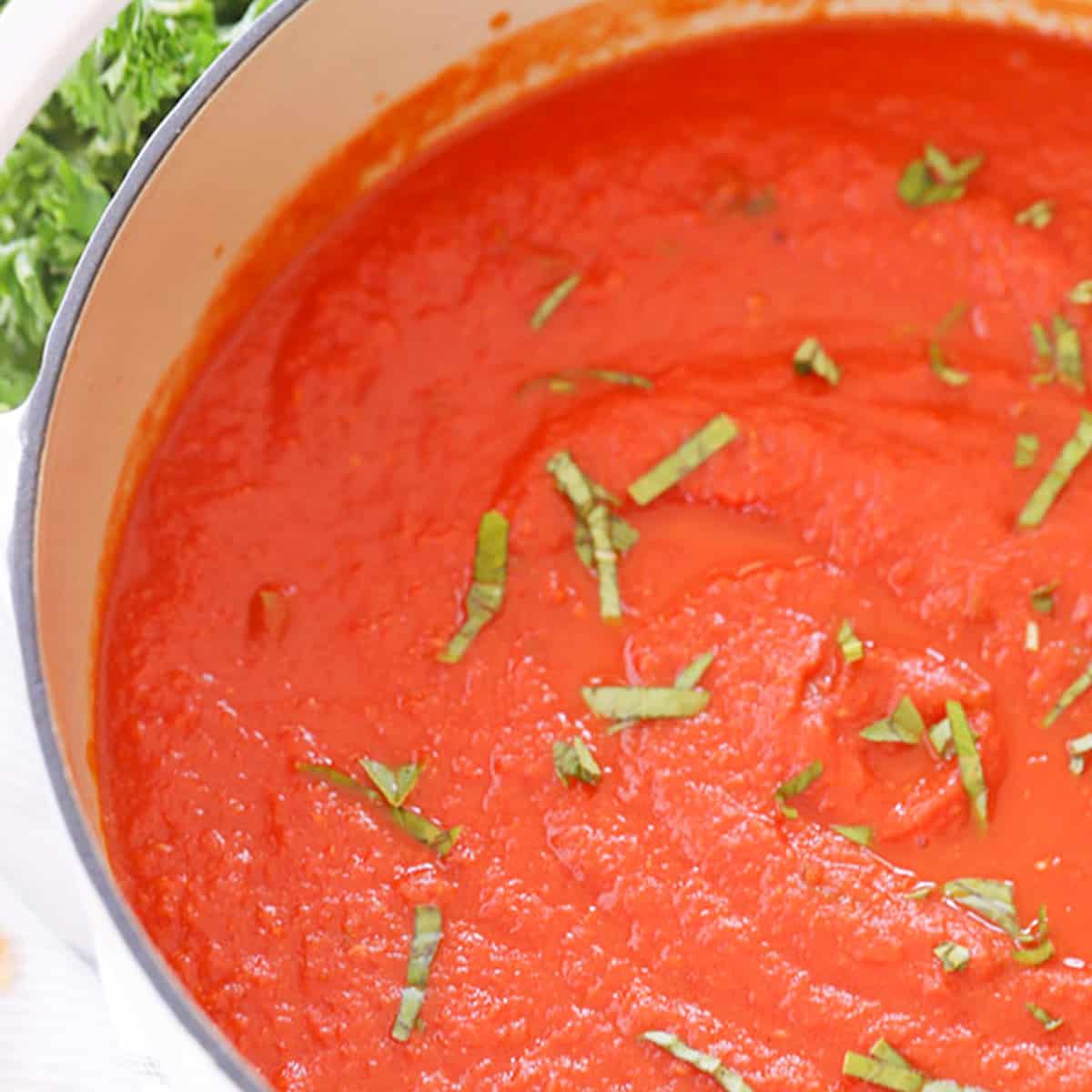 marinara sauce with fresh tomatoes, marinara sauce recipe fresh tomatoes