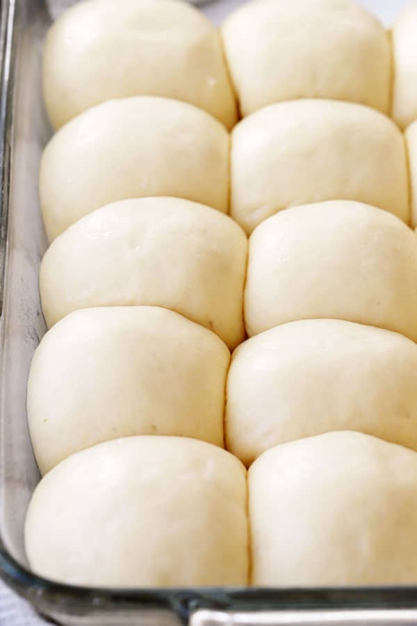 This recipe is for the fastest dinner rolls that are also totally delicious, this quick roll recipe is resting in the pan getting ready to bake.