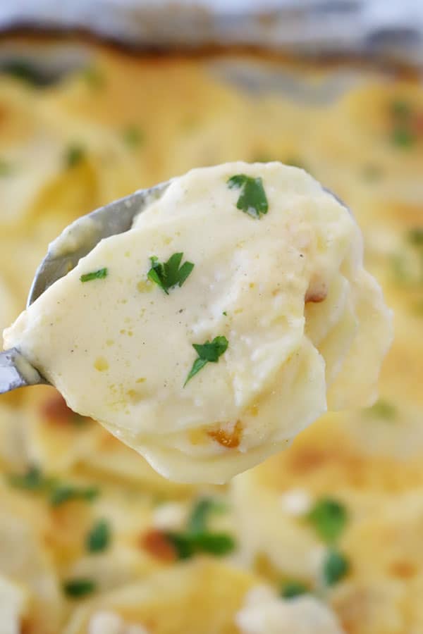 au gratin potato recipe for a holiday side dish; homemade au gratin potatoes.