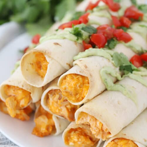 buffalo chicken taquitos