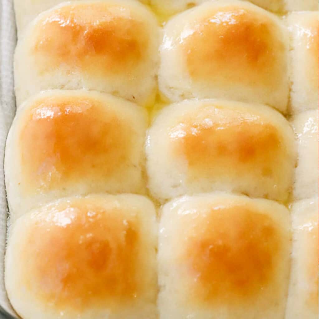 Quick dinner rolls recipe, dinner rolls made in 30 minutes.