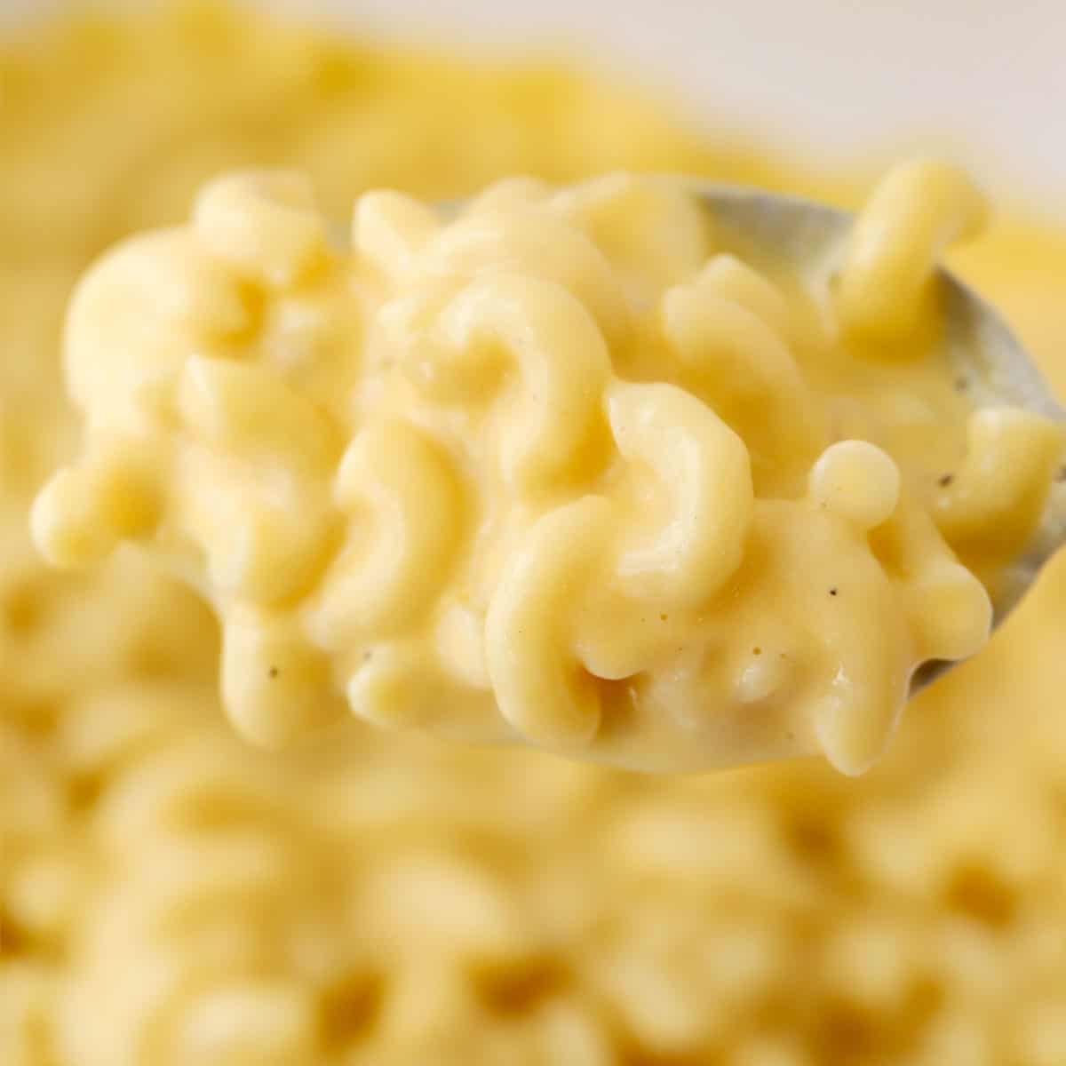 mac and cheese made on the stovetop