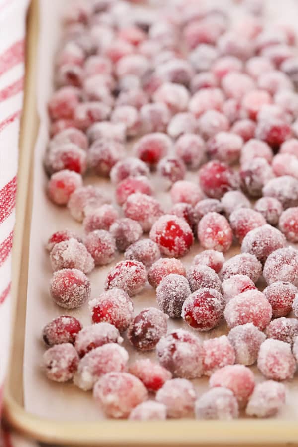 sugared cranberries on parchment paper, drying