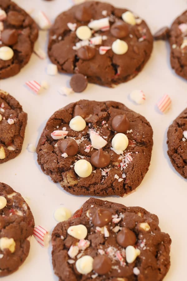 Chocolate cookies topped with peppermint and chocolate chips.