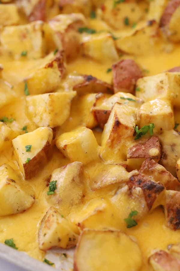 cheese smothered roasted potatoes, how to make cheesy potatoes in oven recipe.