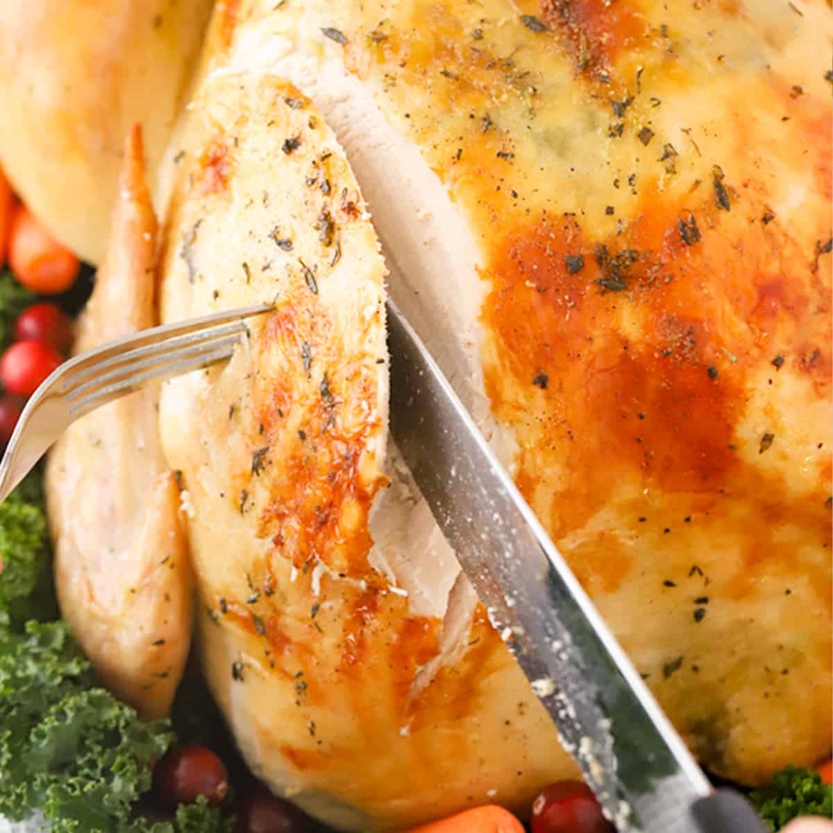 whole roasted turkey for thanksgiving dinner or holiday dinner, herb turkey